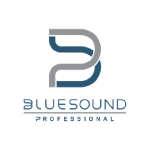 Bluesound Pro logo