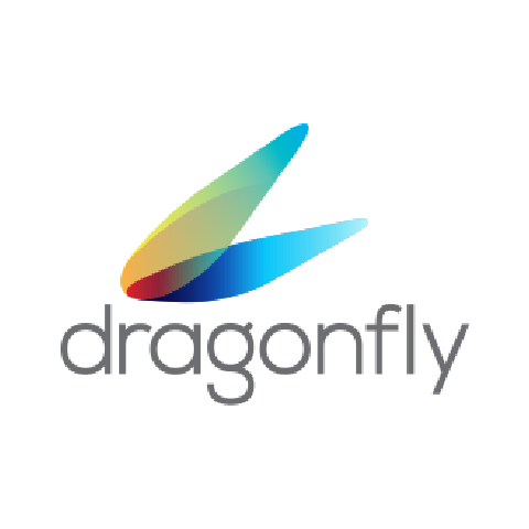Dragonfly logo