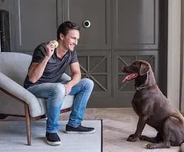 Josh-Lifestyle-Dog-Tennisball